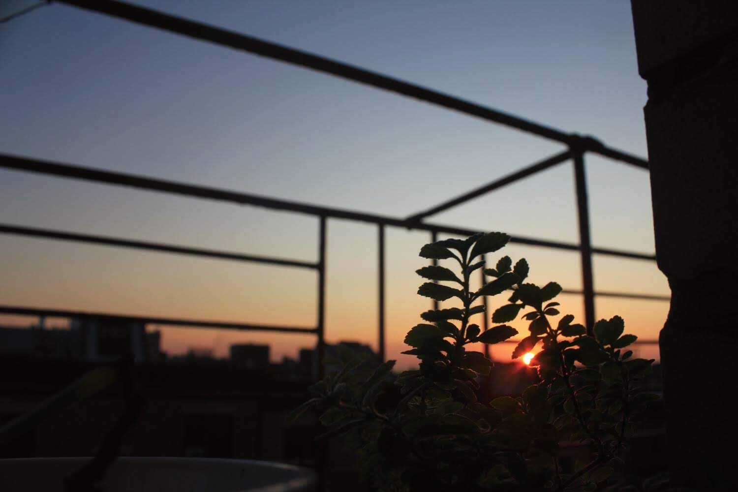 sunrise