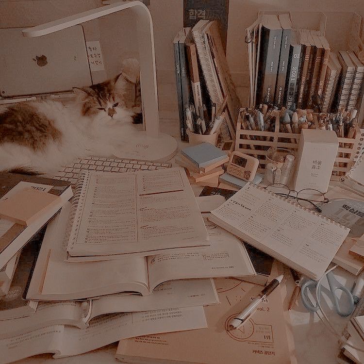 supplies