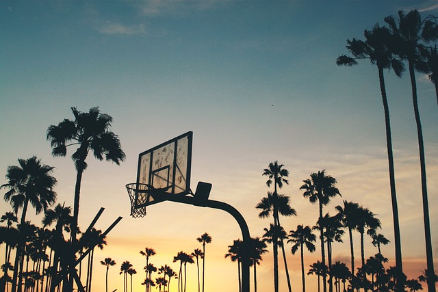 Basketball Hoop in the Sunset