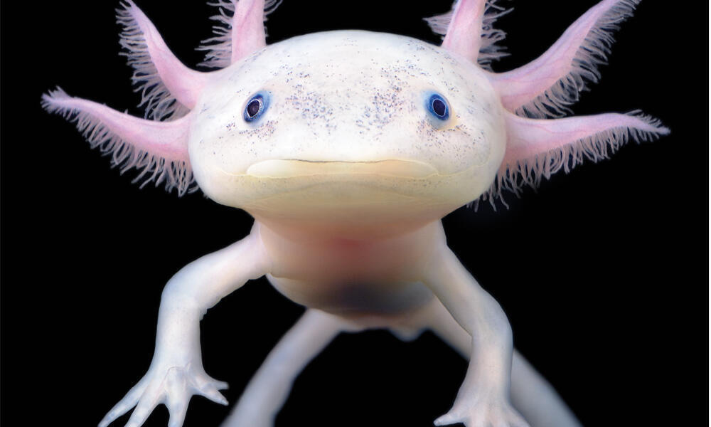 :)