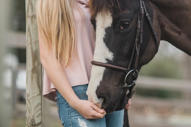 black horse and girl