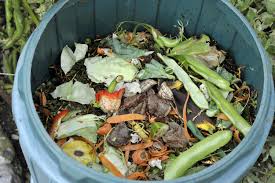 Compost Option