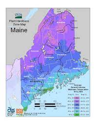 Maine Zone Map