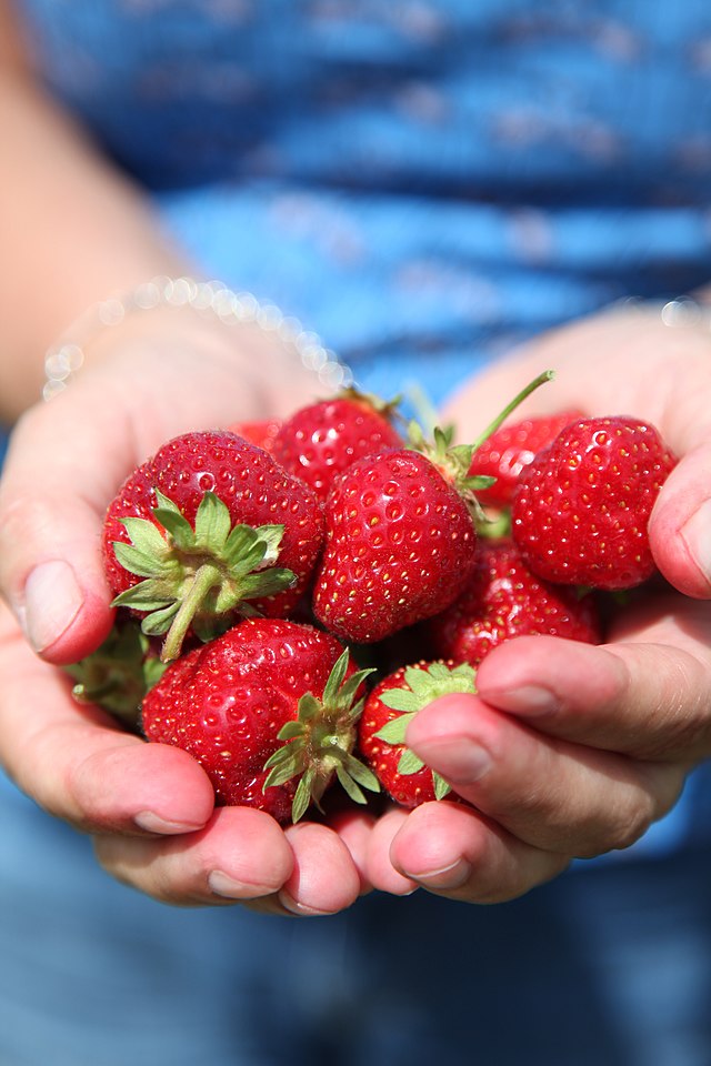 strawberries
