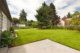 lawn