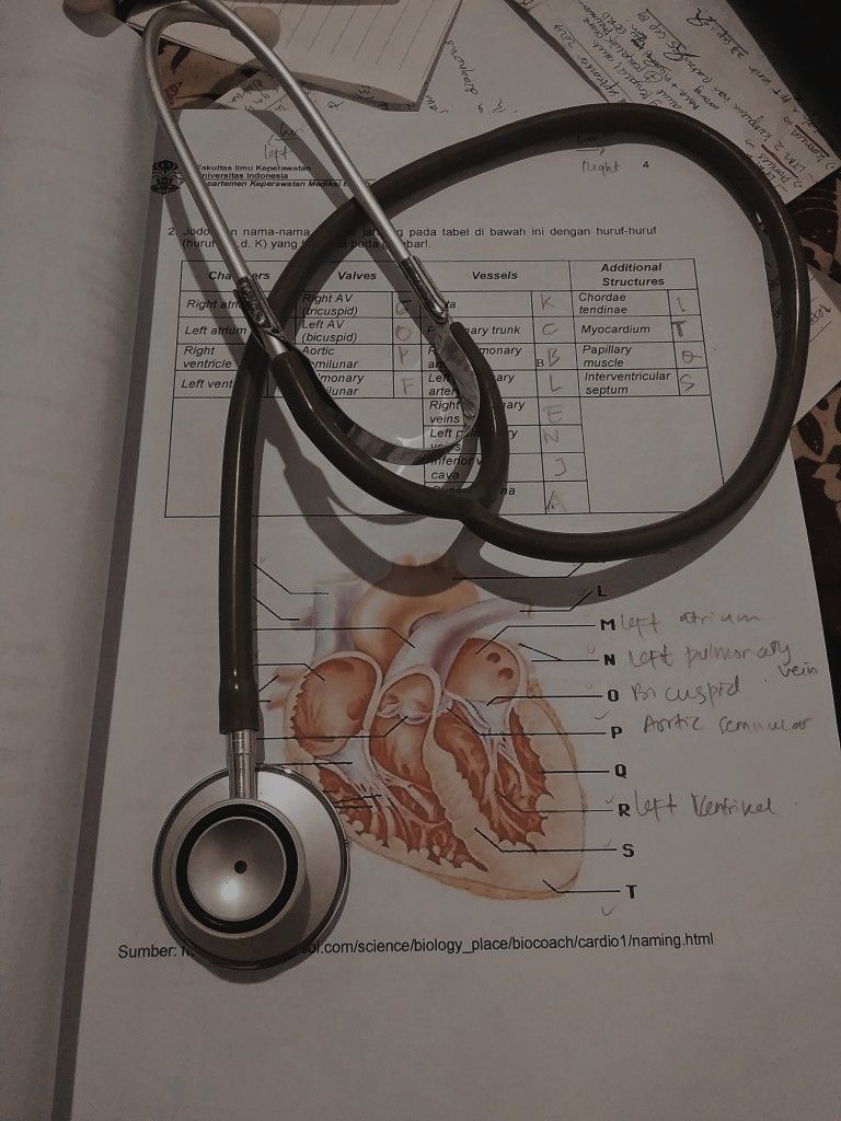 stethoscope