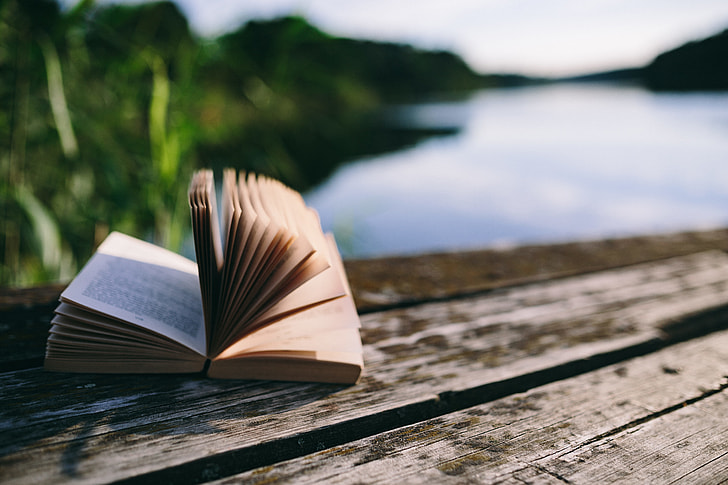 Reading