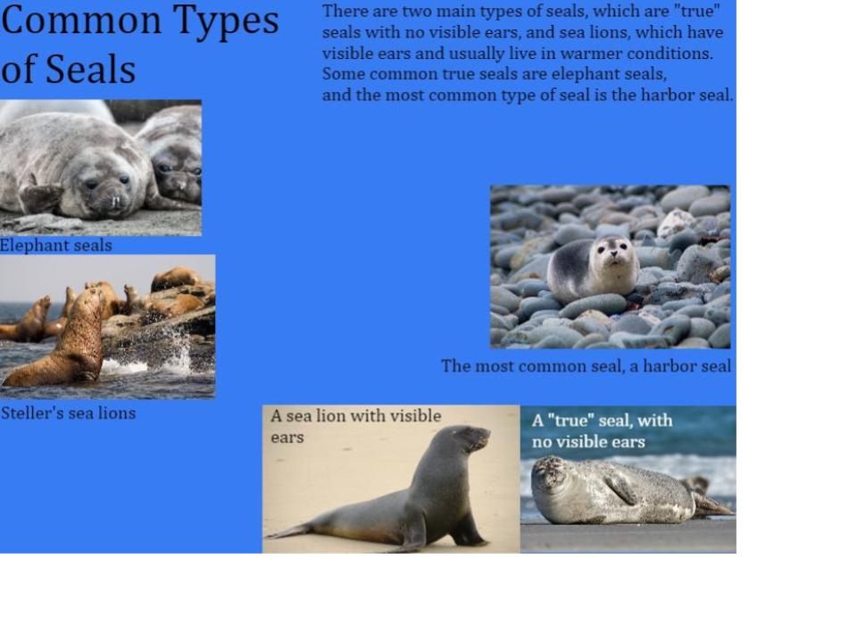 Types of Seals
