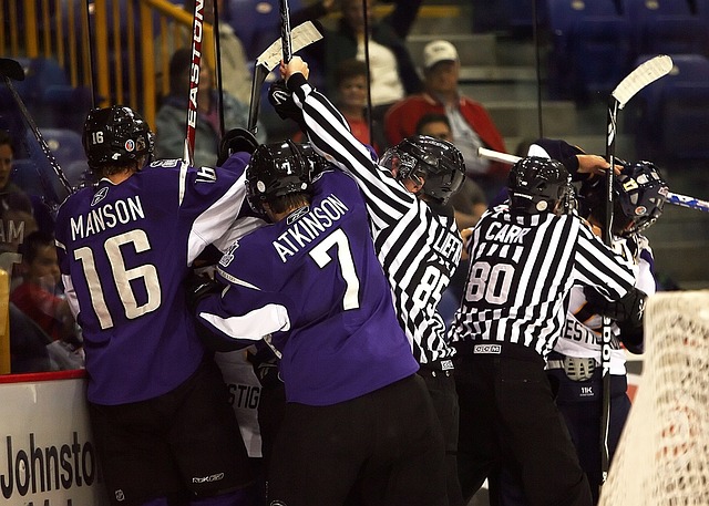 Hockey fight