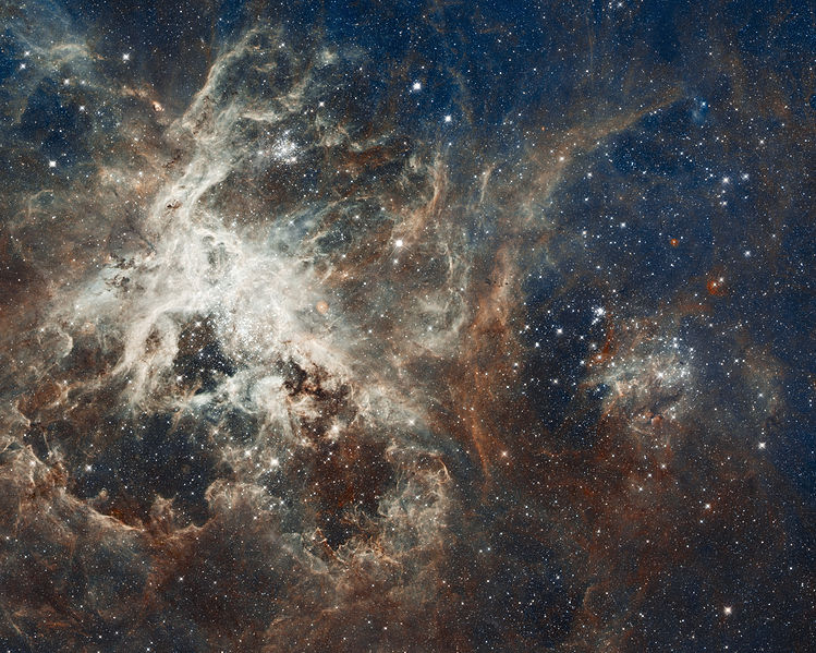 Oooh! A giant gas bomb! that is obviously the Tarantula Nebula!It's not obvious