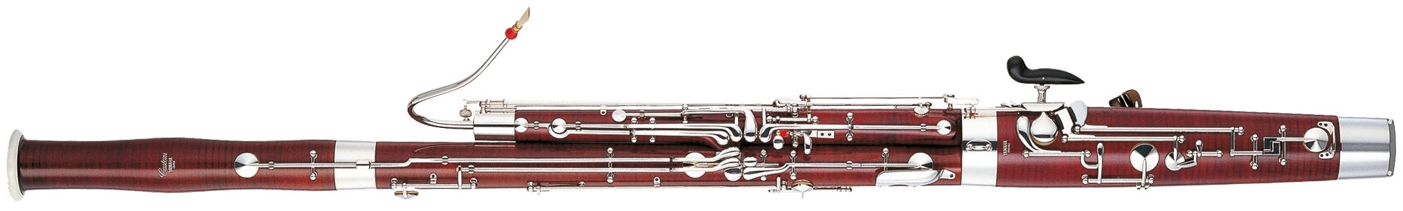 bassoon