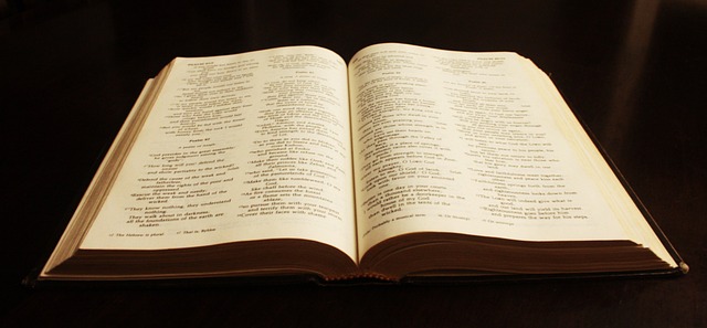 open zoomed in bible