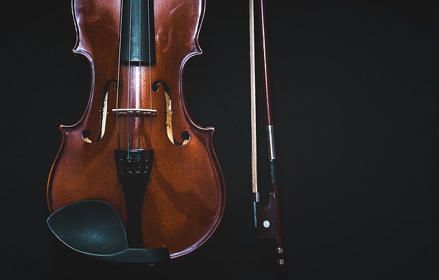 violin and bow