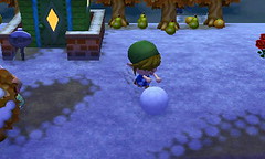 Animal crossing