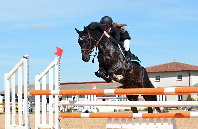 Close shot of horse jumping