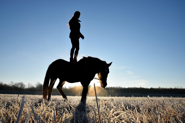 Picture of stunt girl