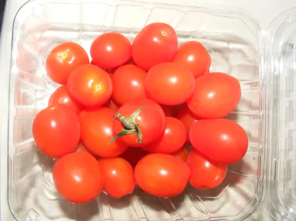 tomatos for food
