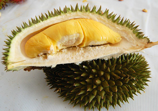 Jackfruit