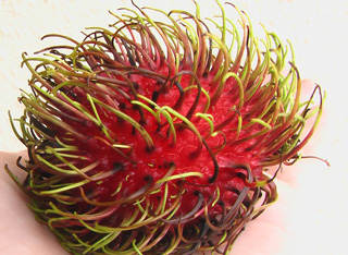 rambutan