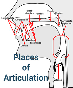 Places of articulation