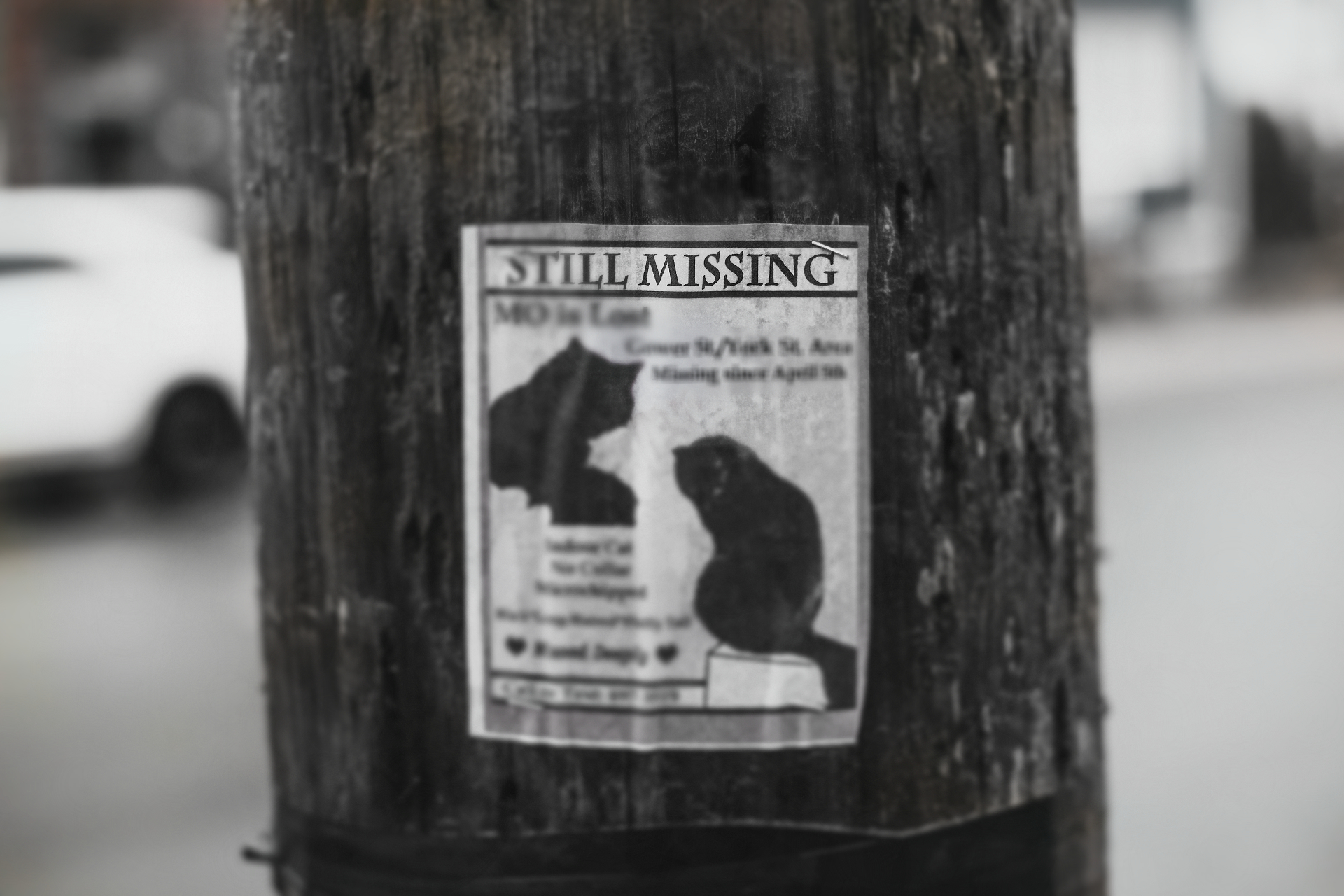 Missing Sign