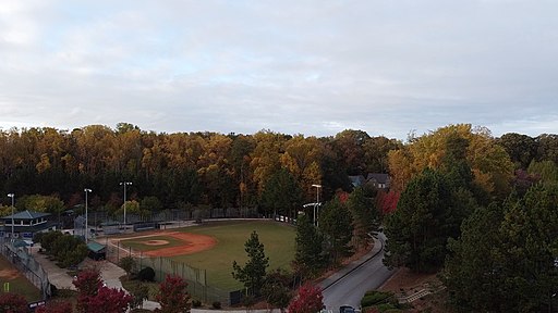 Baseball