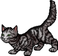 Bumblestripe
