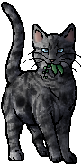 Jayfeather