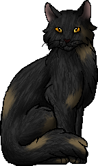 Stormfur