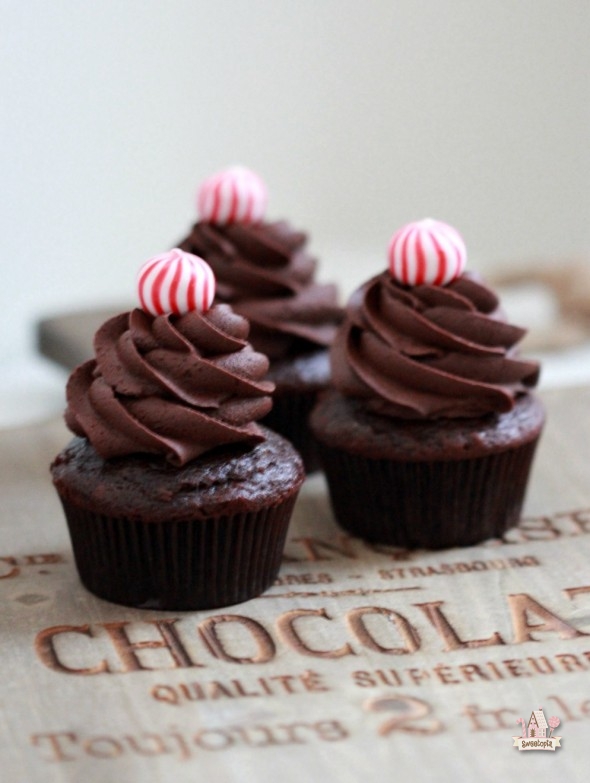 Double chocolate cupcakes
