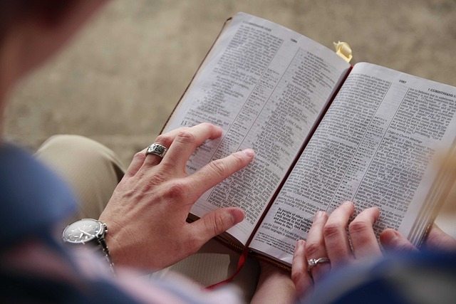 person reading bible