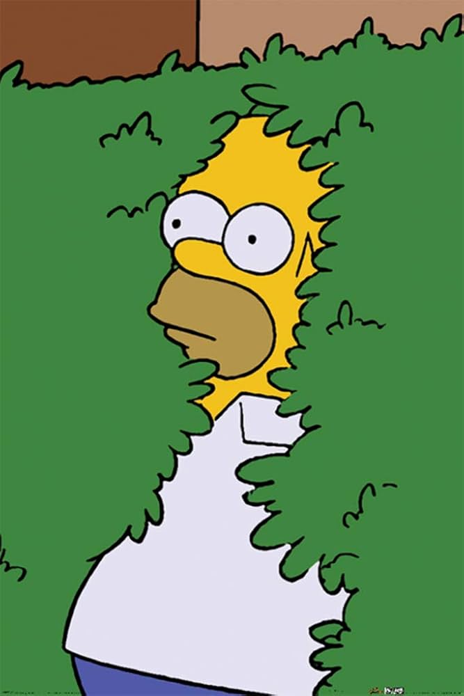 Homer Simpson