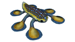 A Hoverfish