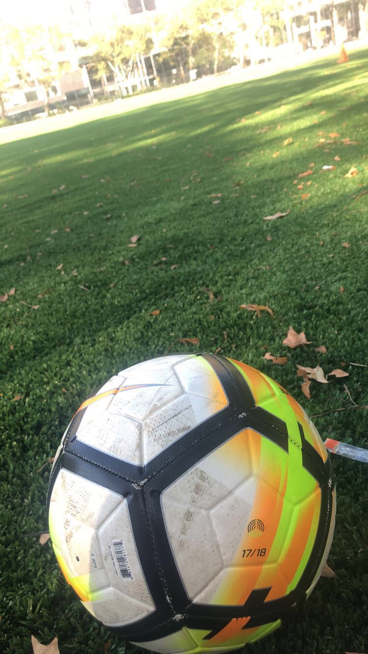 Soccer Field