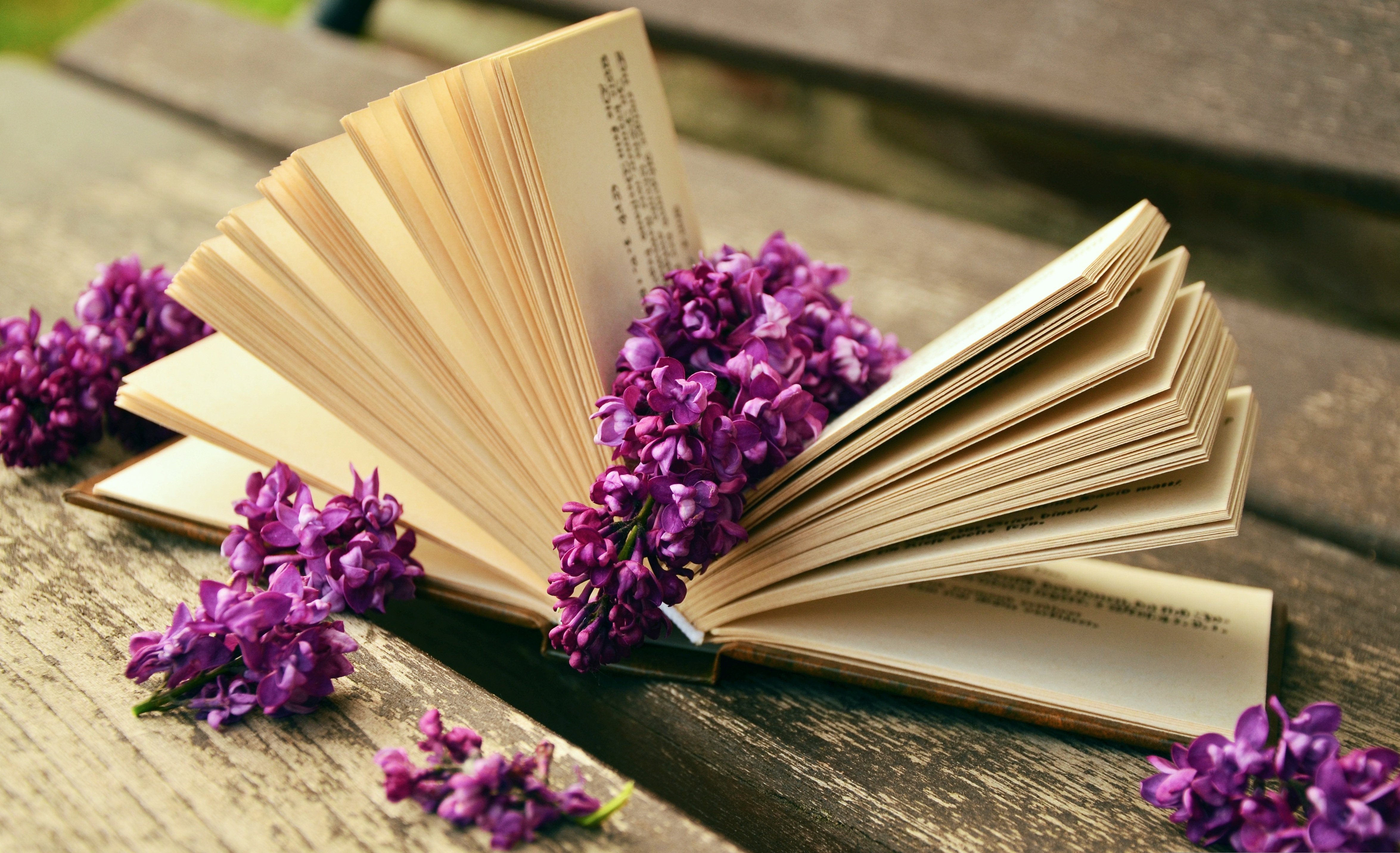 BOOK WITH PURPLE FLOWERS