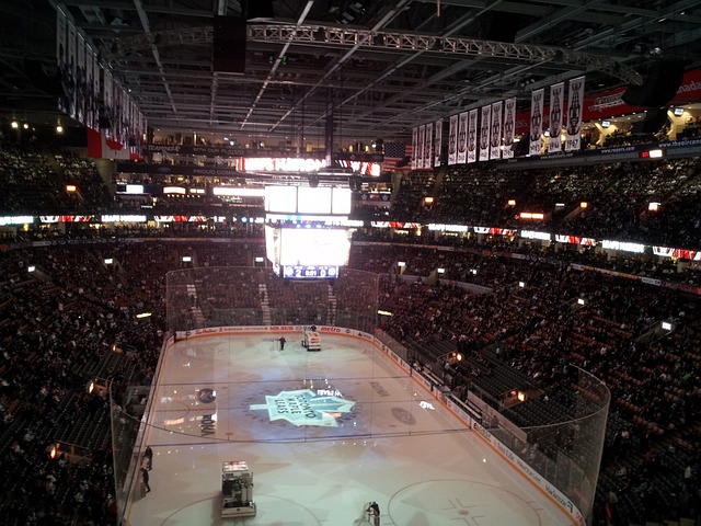 Toronto Maple Leafs Hockey Team Ice Arena