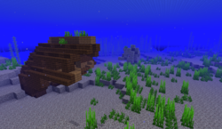 Ocean Biome