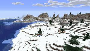 Snowy Tundra Biome