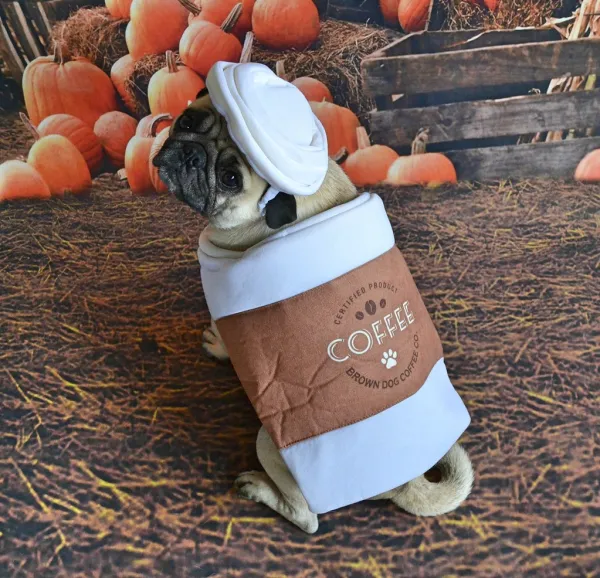 Pug