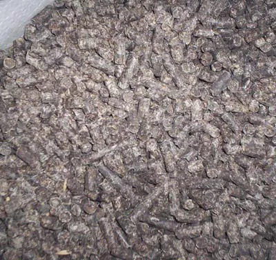 beet feed