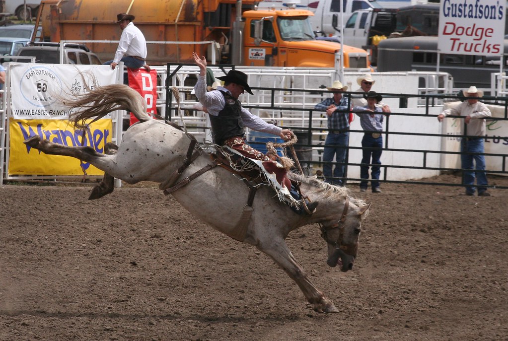 Bronco Riding