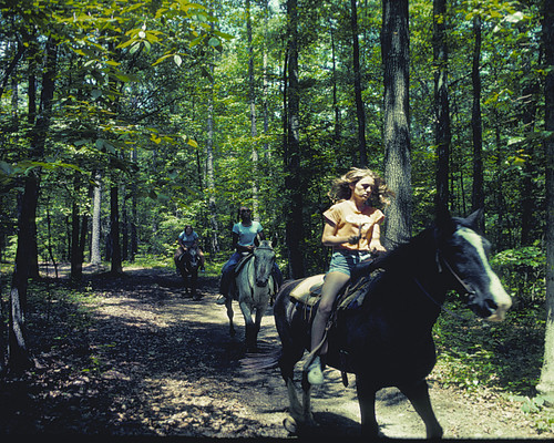 Trail Riding