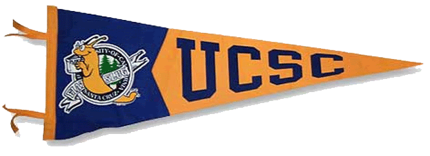 SantaCruz pennant 