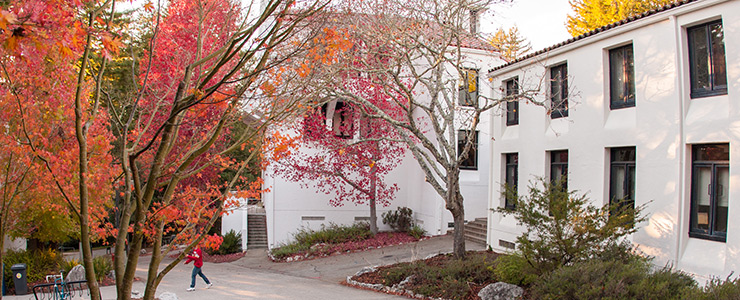 Crown College