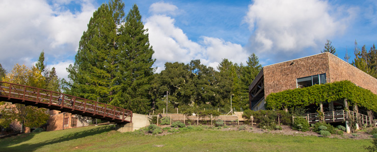 Oaks College
