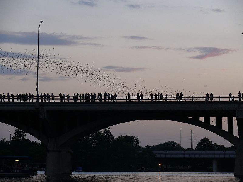 bridge