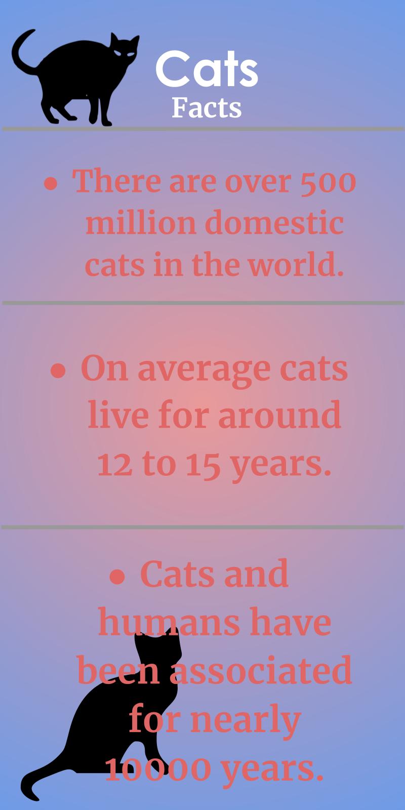 infograph on cats