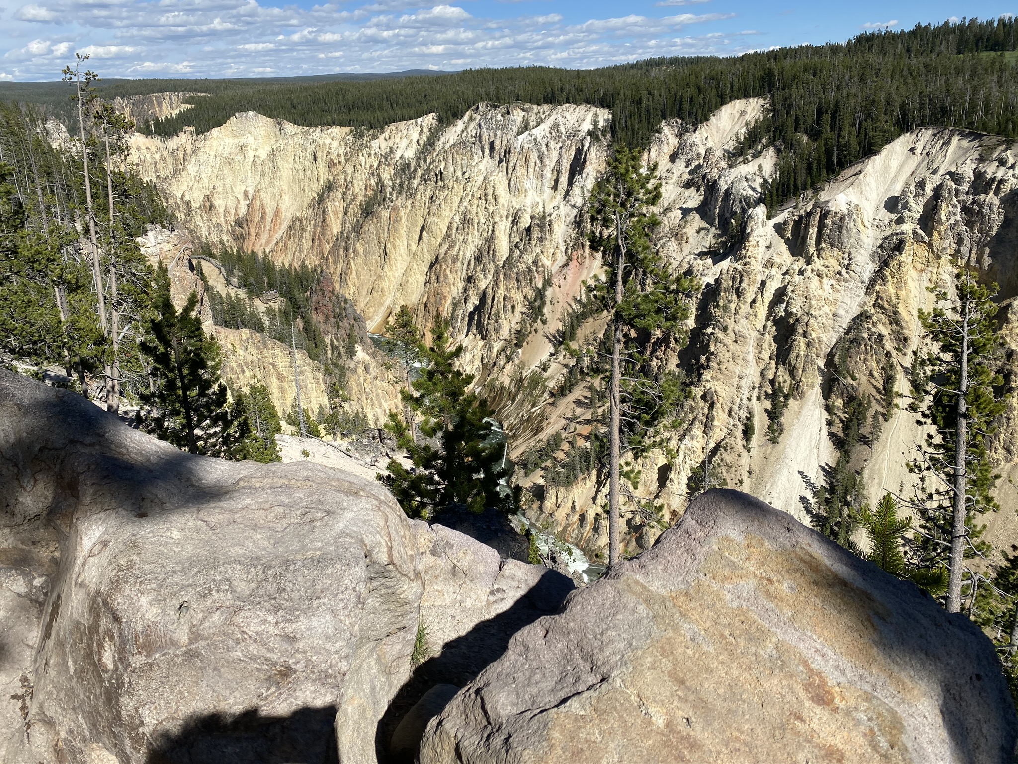 The Grand Canyon of Yellowstone