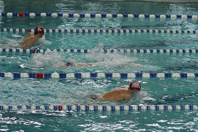 Swimming picture