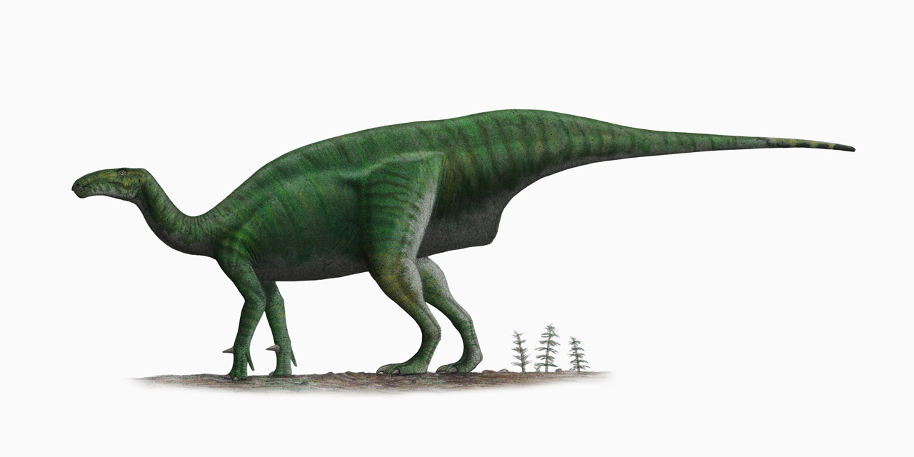Iguanodon